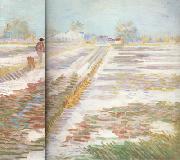 Vincent Van Gogh Landscape with Snow (nn04) USA oil painting artist